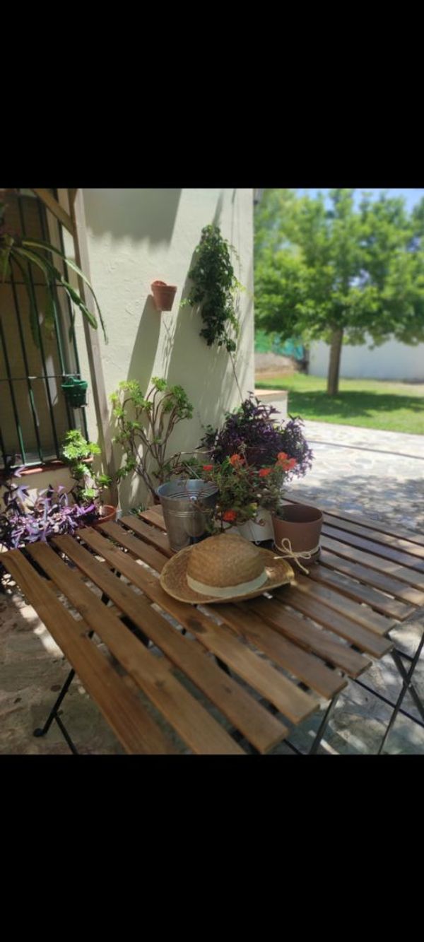 elena's house