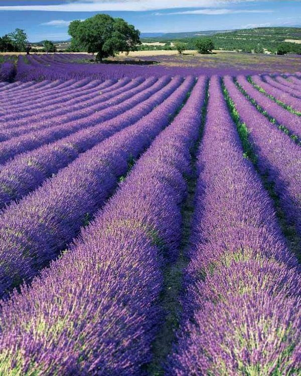 La maison de Corinne et Cédric