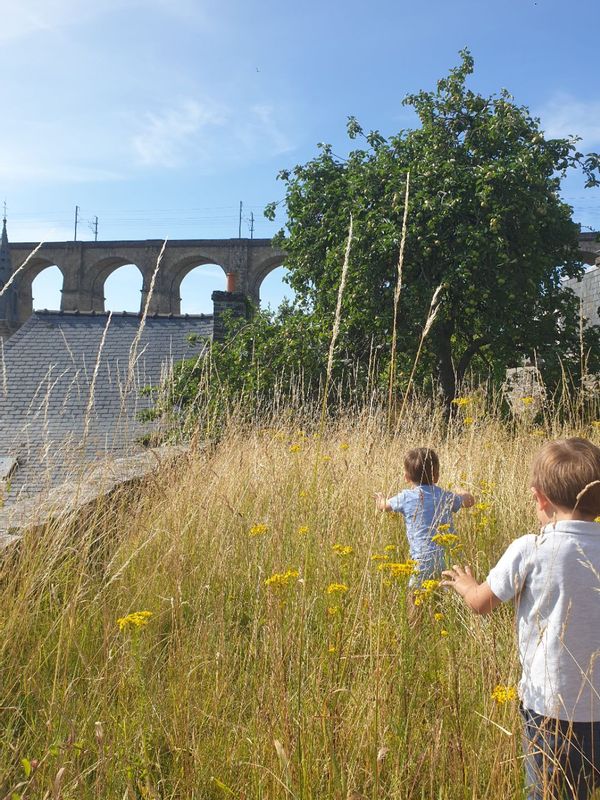 Home in Morlaix