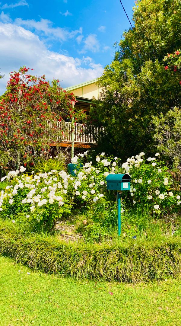 Beautiful bush retreat Blue Mountains