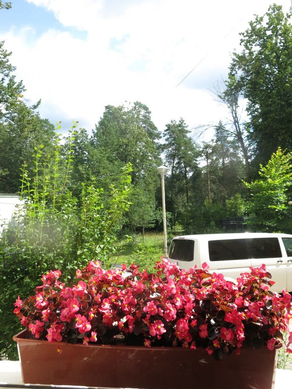 La maison de Alexander