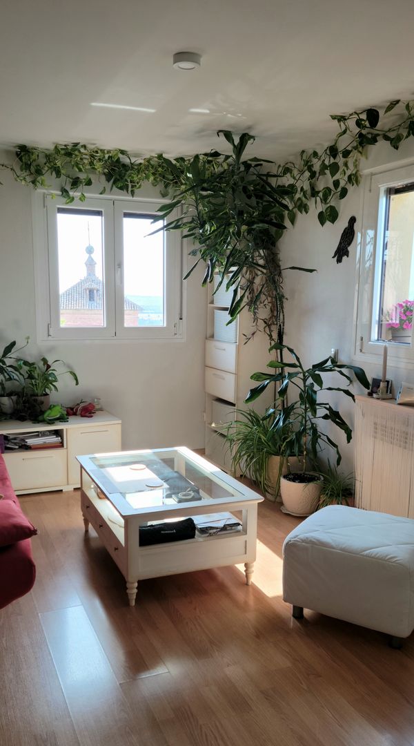 Casa di Marta