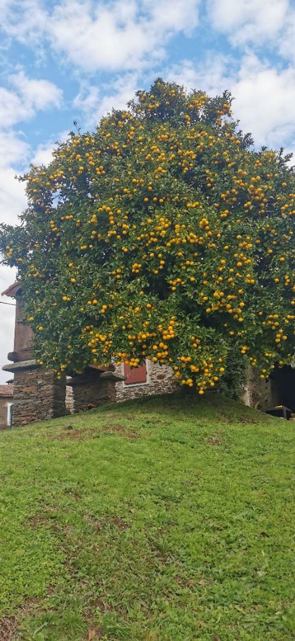 La maison de Lucía