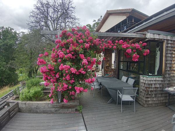 La maison de Cecile et Jean-Pierre