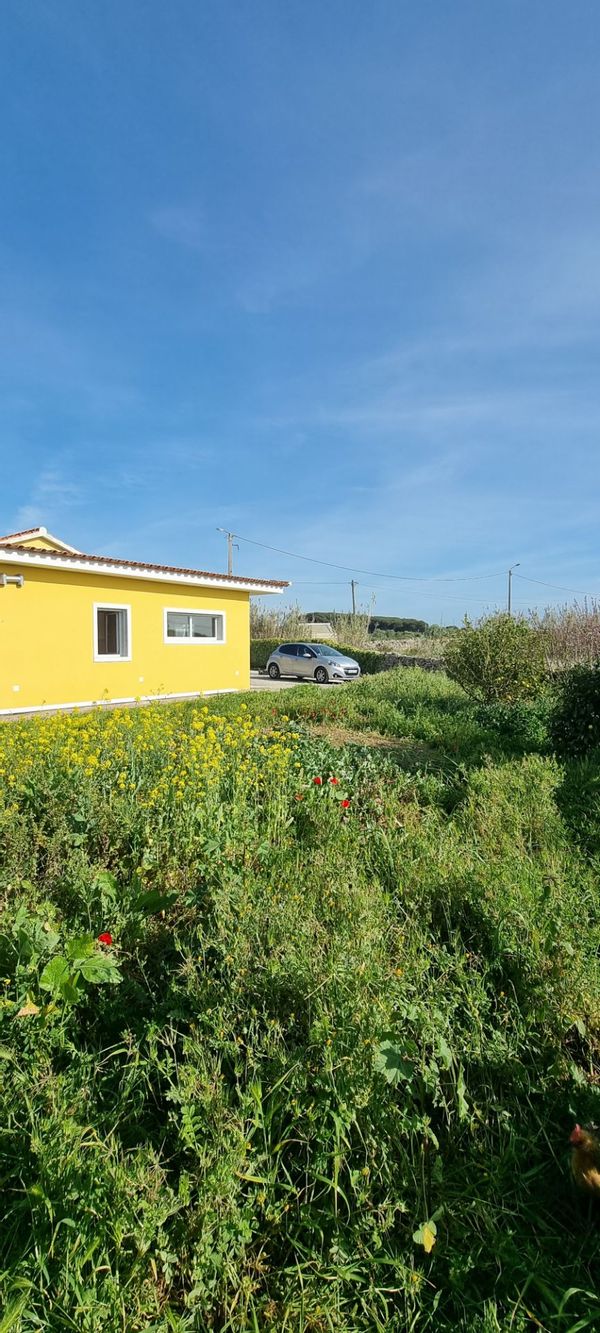 Serene FarmHouse in Sintra/10min drive to Ericeira Surf Beach