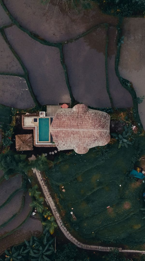 Villa dans les rizières a Bali