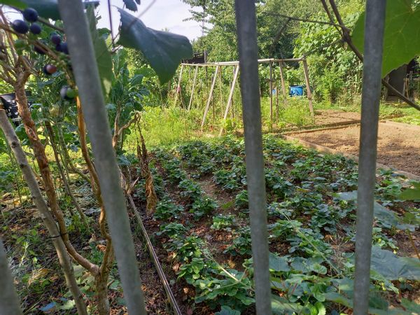 Duplex calme à 15 mn de Paris entre forêt et canal