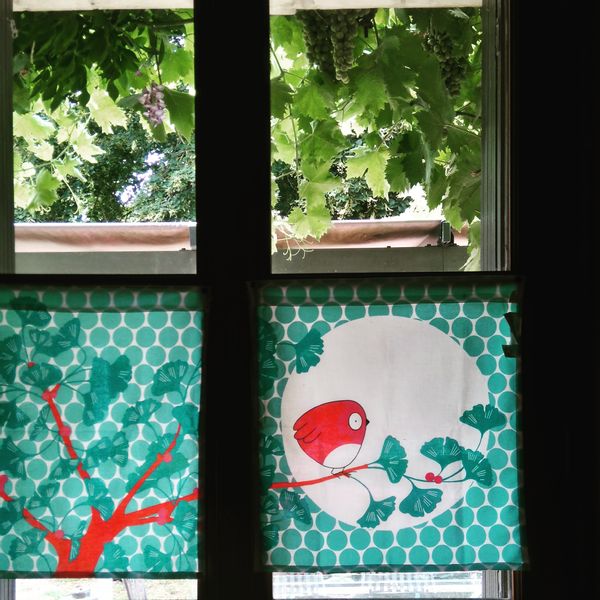 Maison de campagne près de Poitiers (futuroscope, marais poitevin, La Rochelle, Bordeaux, repos)