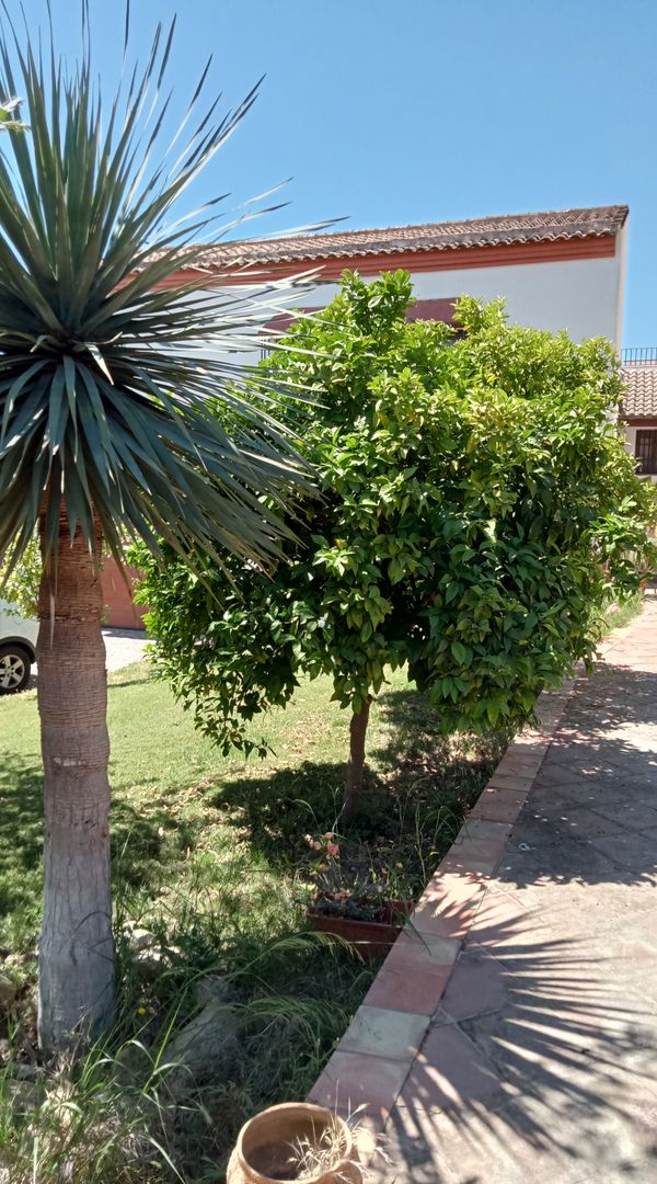 La maison de MARÍA CONSOLACIÓN