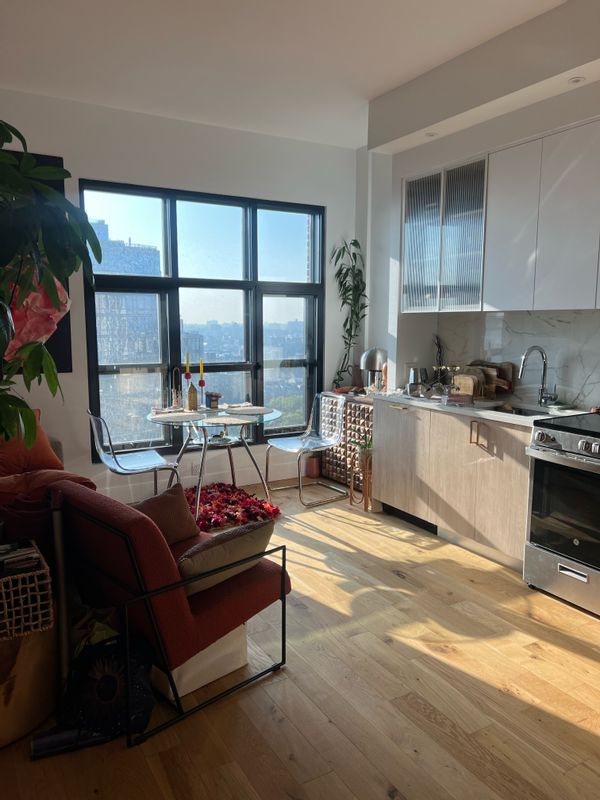 1 bed apt in DUMBO