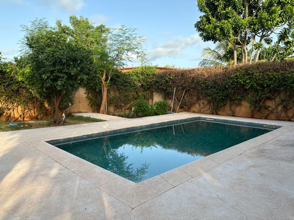 Notre nid sénégalais