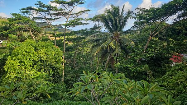 Le fare d'Alice et Jimmy