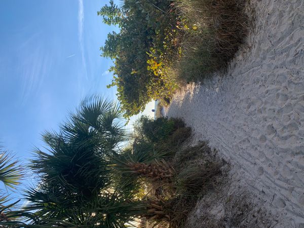 Carpe Diem Siesta Key