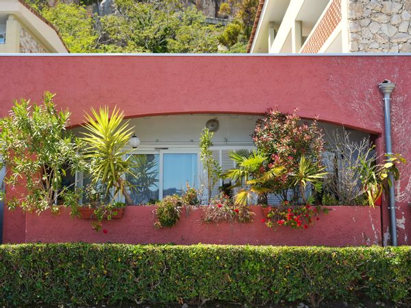 Simon's house