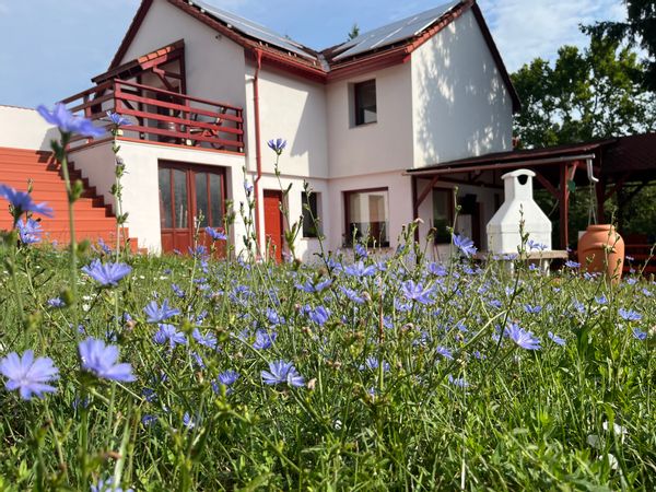 La maison de Levente