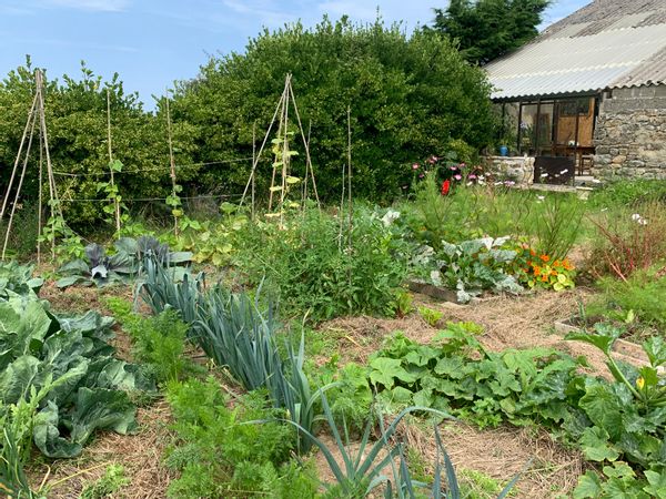 Petit appartement chaleureux entre champs et océan.