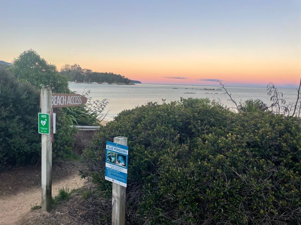 Modern Coastal Retreat with Panoramic Sea Views