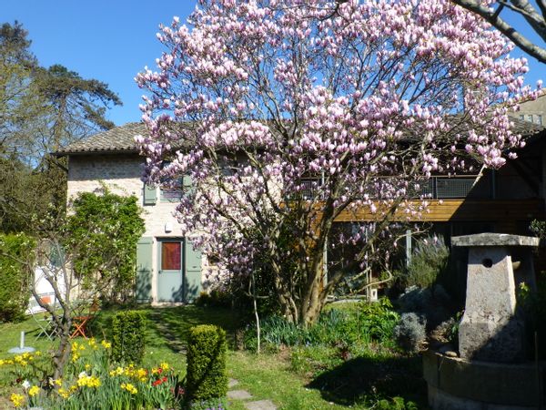 Maison de village avec jardin fleuri et terrasse