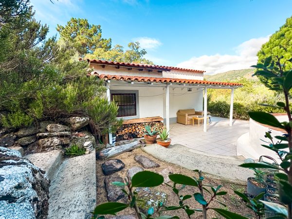 Portugese Farm House