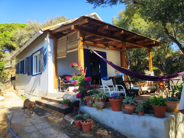Beach/Forest Bungalow in Charming Southern Spain w Dog & Cat