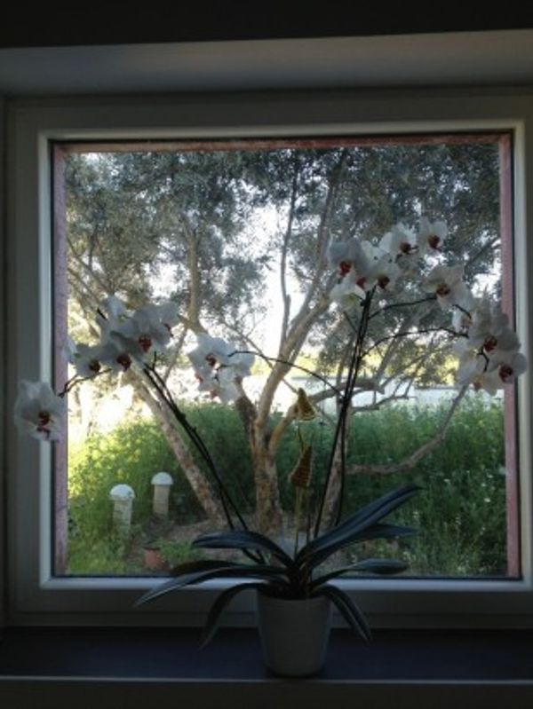 maison à Atarfe, España