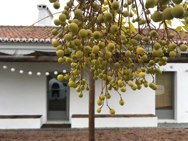 Casa em Barbacena e Vila Fernando