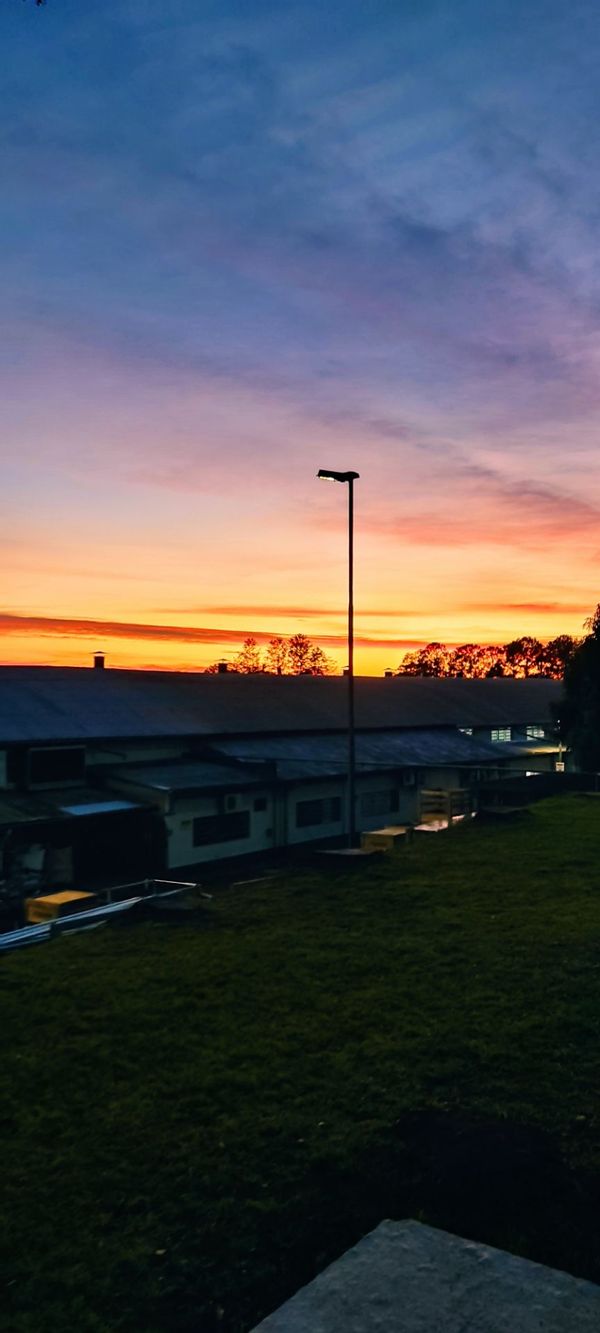 Patrick Michael's house