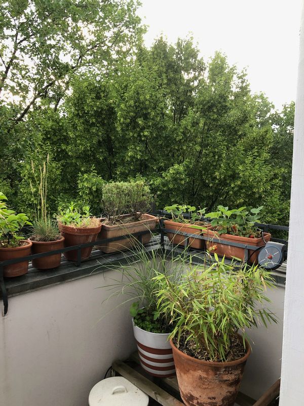 Chez Mathilde and Co. sur la Schillerpromenade