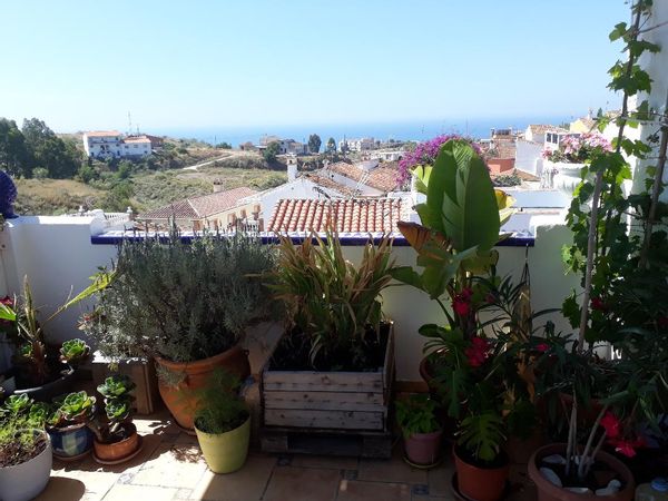 House in the village with roof terrace near the sea