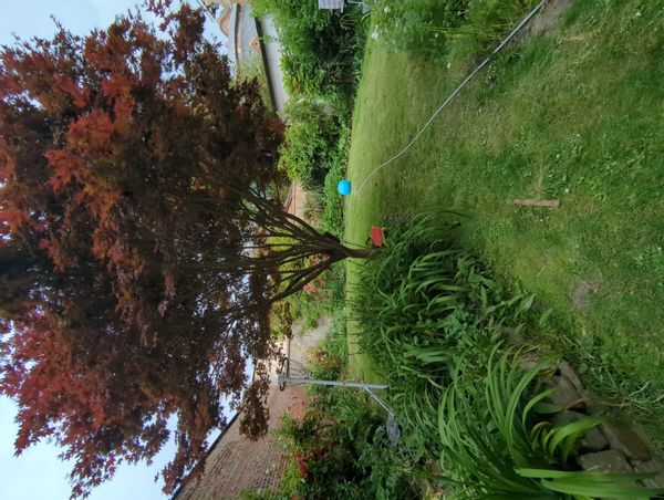 Maison proche de la baie de Somme