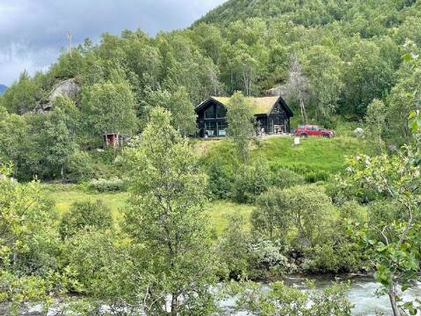 Cozy mountain cabin