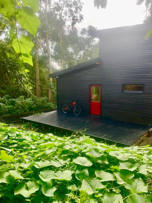 Wood House in the forest