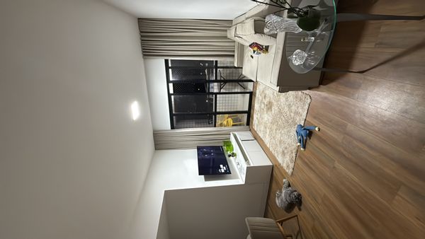Carolina's house