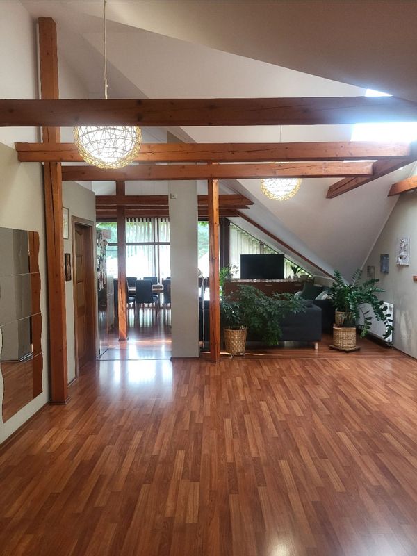 Spacious apartment near Prague with garden and swimming pool