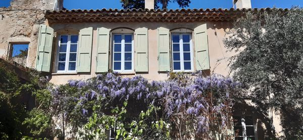 La maison à la glycine