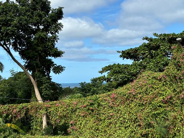 La maison de Bruno et Tatiana
