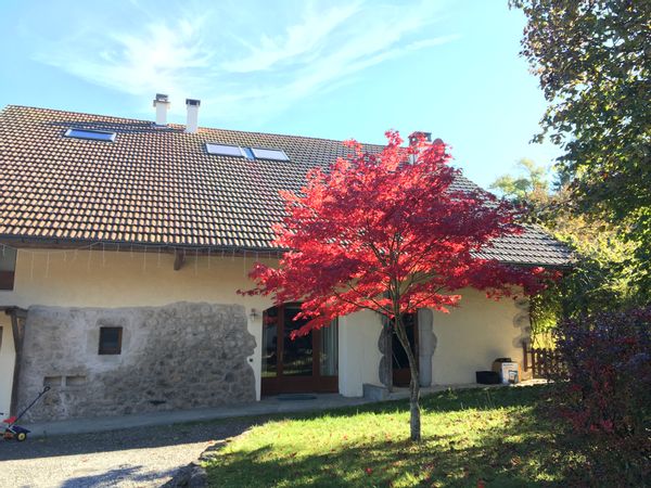 Casa di Andrew & Esther