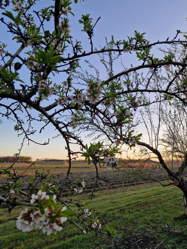 La maison de Caroline
