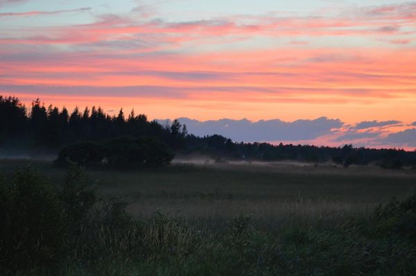 La maison de Colleen