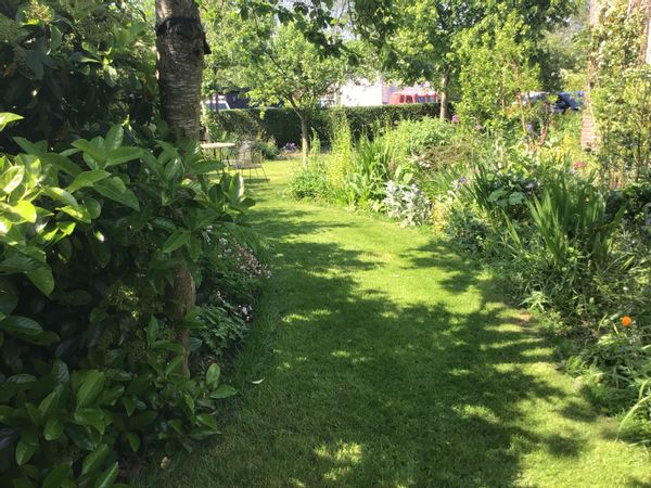 Simply house with lovely garden