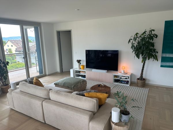Cosy 3 Room Apartment Next to Lake Zurich