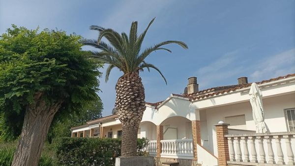 GIGI's house