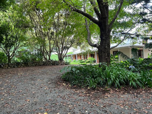 STEVEN's house