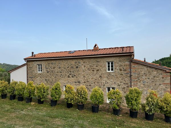 Home in Marliana