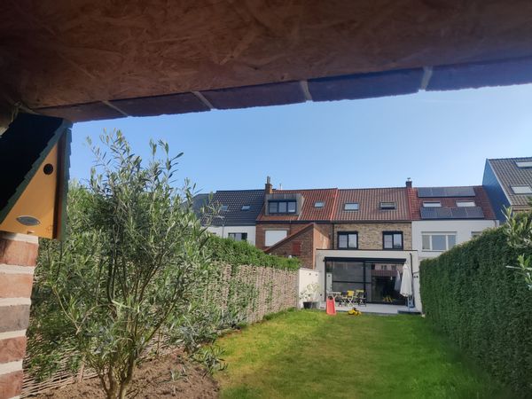 Gent und andere mittelalterliche belgische Städte entdecken