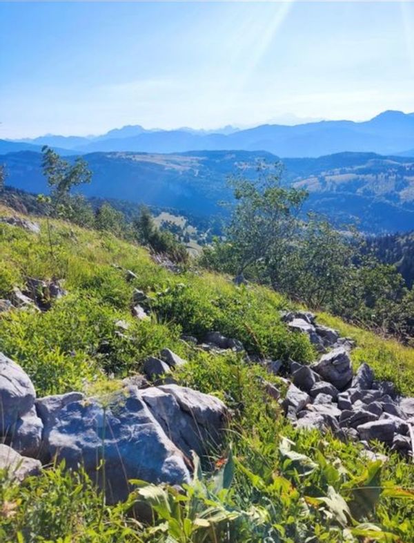 Frédérique's house