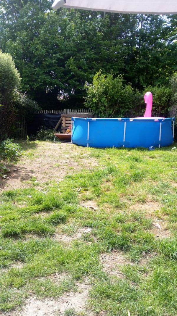Patricia's house