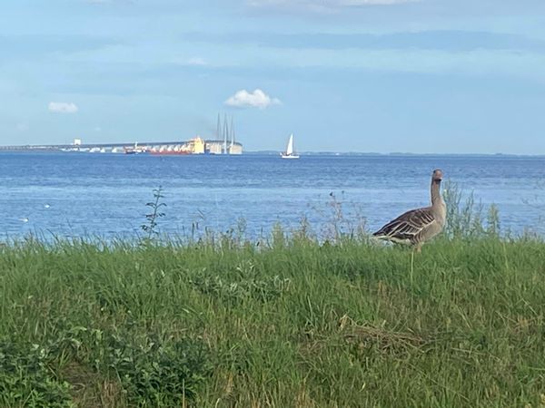 La maison de Per Henrik