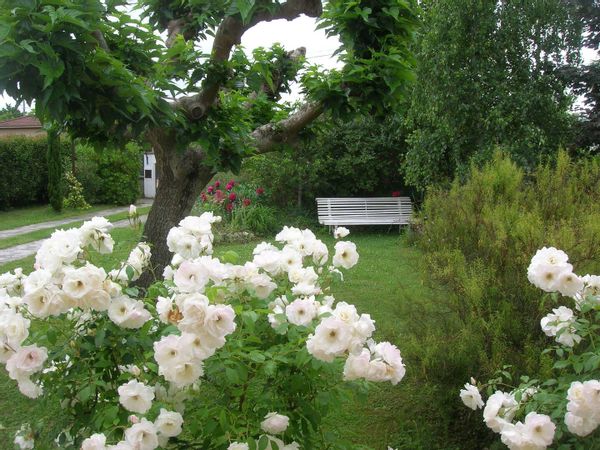 La chambre privée de Véronique et Jacky