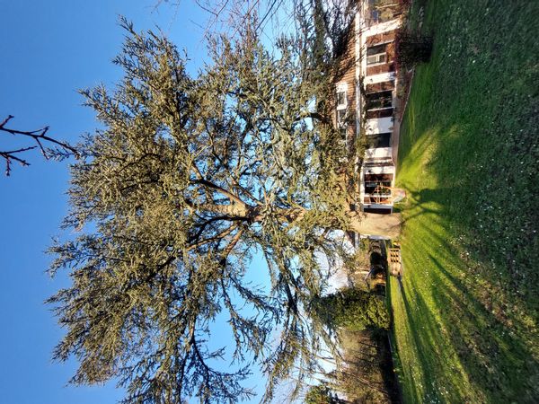 Géraldine's house